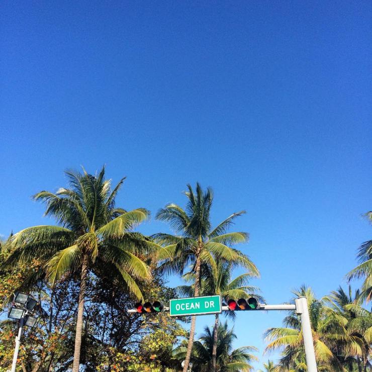 12885734_10209395662507604_8497891024564258648_o