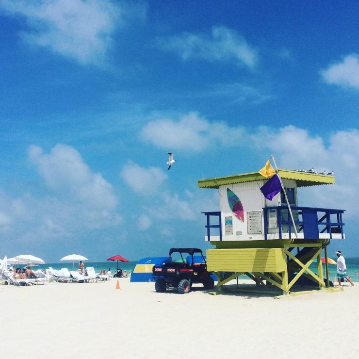 12916294_10209456998560967_6415401194854856621_o